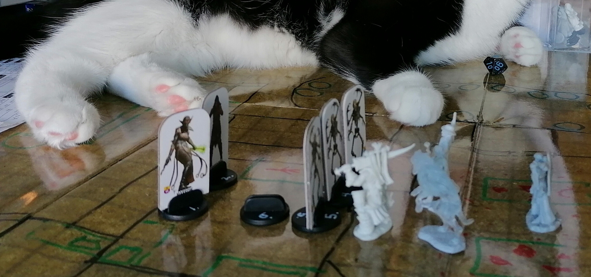Pöytäroolipeli on käynnissä ja taistelu alkamassa. Esillä on kartta ja figuureja kuvaamassa taustelutilannetta. Taustalla näkyy kissa pelipöydällä.